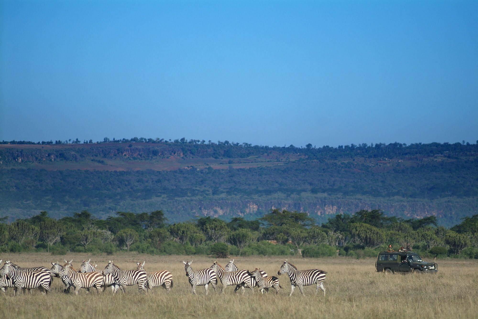 Отель Mbweha Camp Elmenteita Экстерьер фото